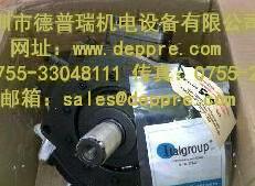 italgroup液压马达