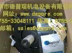 italgroup液压马达