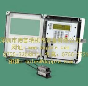 thermo polysonics流量计