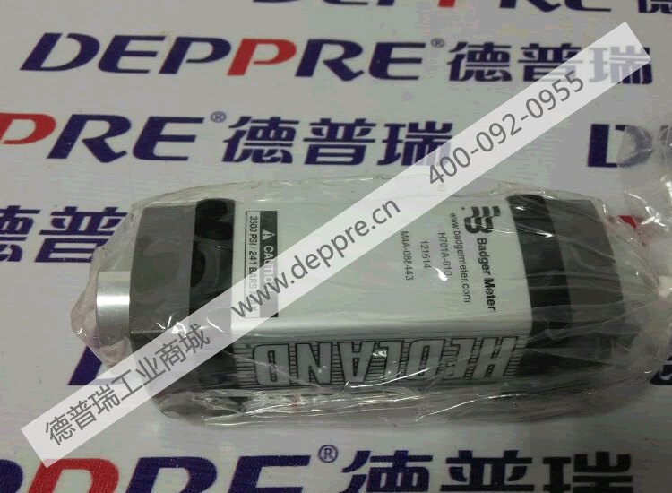 Hedland流量计H701A-010